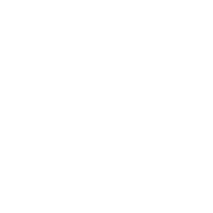 boat icon